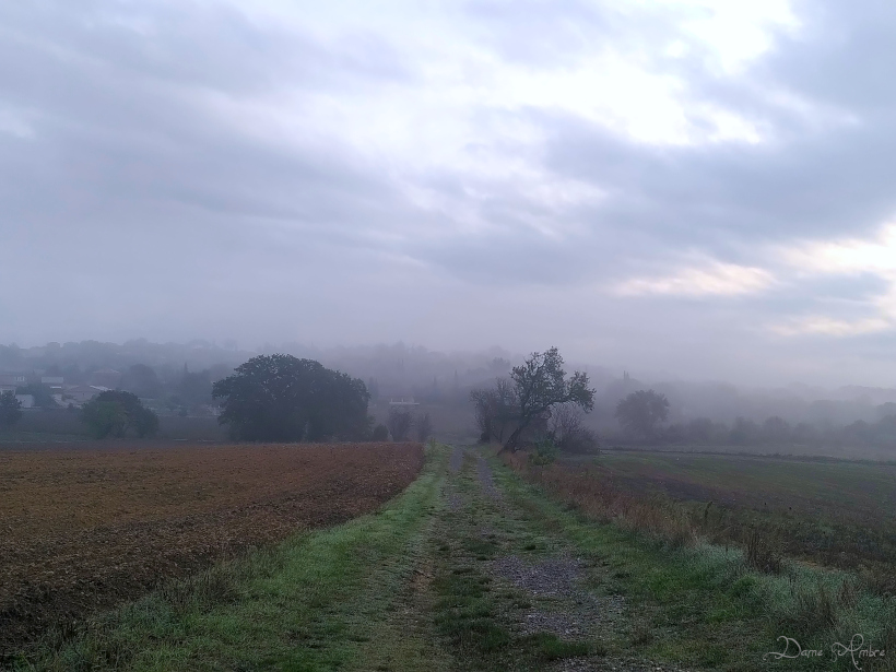 Chemin dans le brouillard