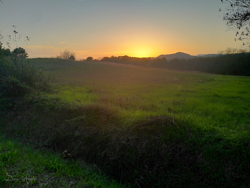 Soleil couchant sur la campagne