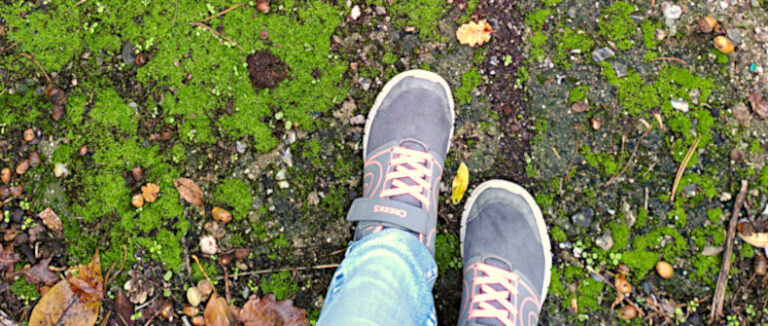 Journal de Novembre, 13 à 15 – Conversations obliques