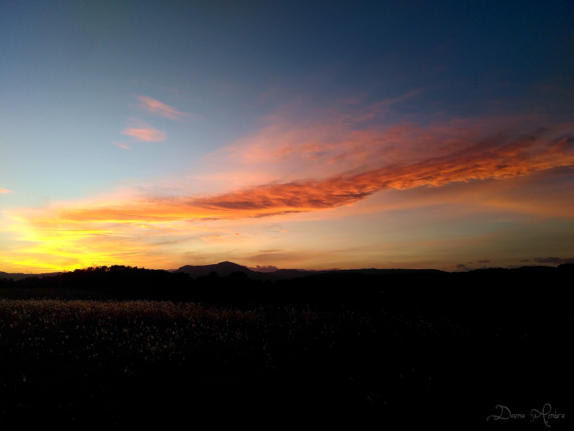 Soleil se couche sur la campagne, dans des teintes jaune et rouge sur fond noir