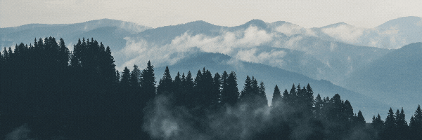 Phrases perdues – février