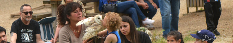 Des rapaces et six pattes de plus – dimanche 25 mai