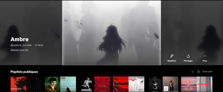 Tidal, (dernier ?) essai d&rsquo;une plateforme musicale
