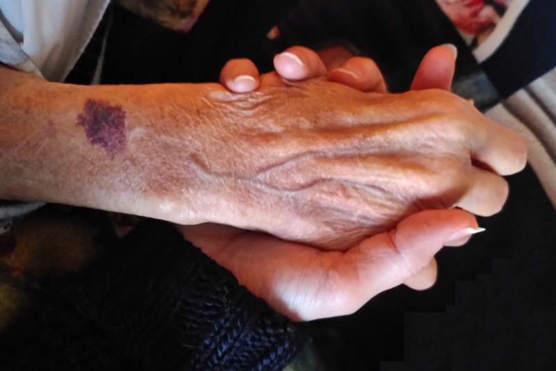 Main de mamie dans la mienne - nos année s de vie ensemble