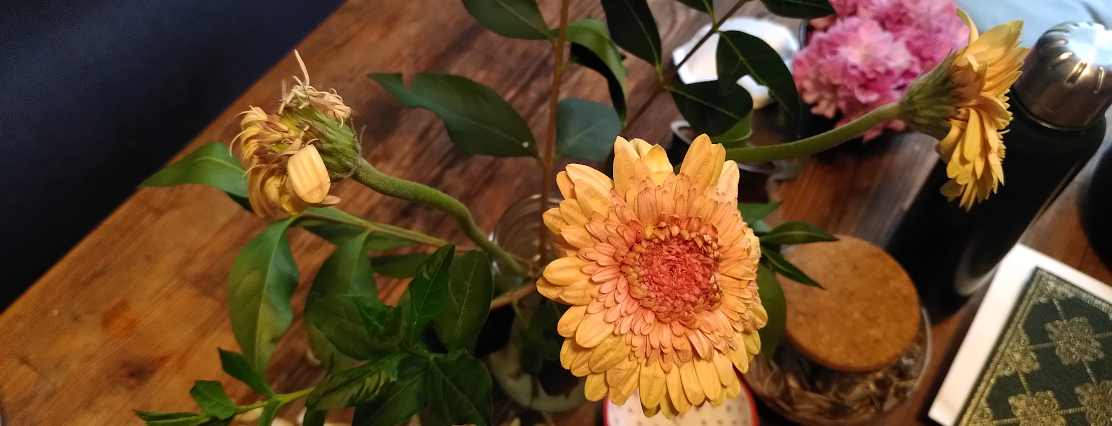 Mars, 9 à 31 – Bordel chaotique