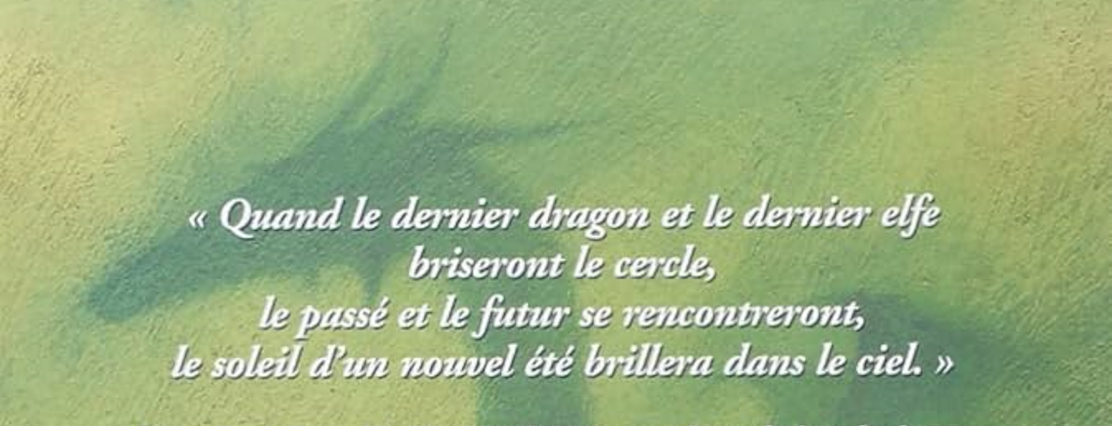 Silvana de Mari, Le dernier elfe et orc